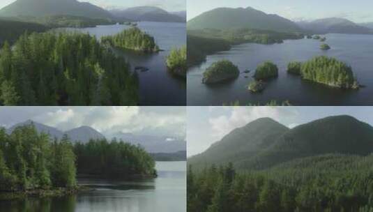 航拍河流湖泊湿地森林树木 (3)高清在线视频素材下载