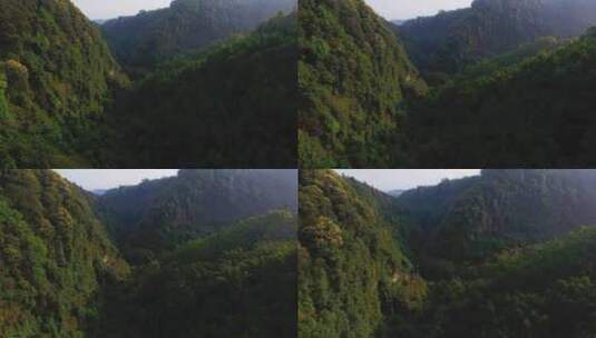航拍大山风景森林林场早晨阳光美丽自然素材高清在线视频素材下载