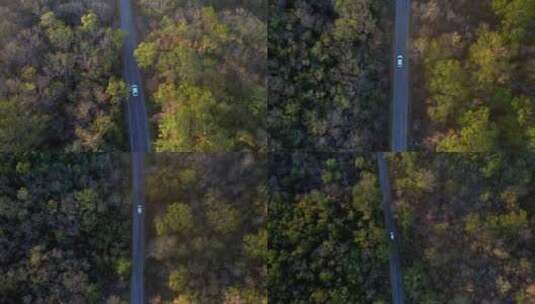 森林中的公路车辆行驶高清在线视频素材下载