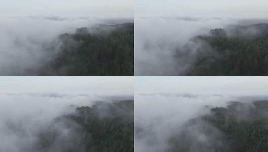 云雾缭绕的山峰高清在线视频素材下载