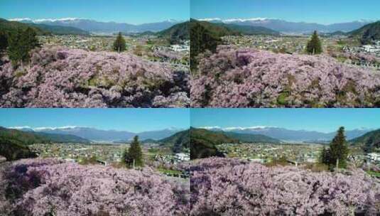 日本的风景美景高清在线视频素材下载
