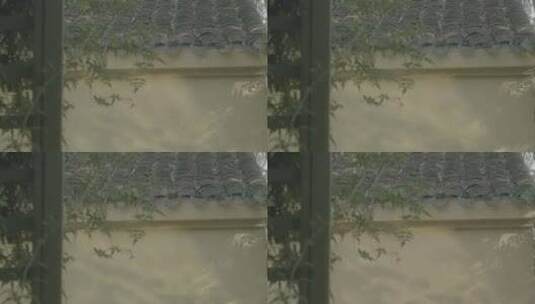 浙江杭州西溪湿地江南传统民宿夏季清新树影高清在线视频素材下载