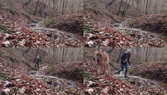 一个女人带着她的狗在森林山上奔跑高清在线视频素材下载