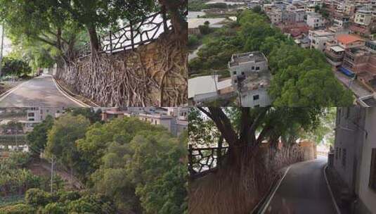 漳州釜山古城高清在线视频素材下载