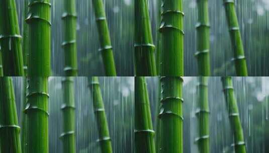 雨中竹林景象特写高清在线视频素材下载