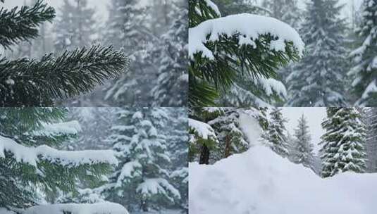 冬天下雪唯美雪天雪松雪挂树枝 (3)高清在线视频素材下载