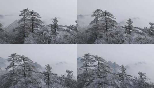 南太行伏牛山雪景雾凇云海自然风光高清在线视频素材下载