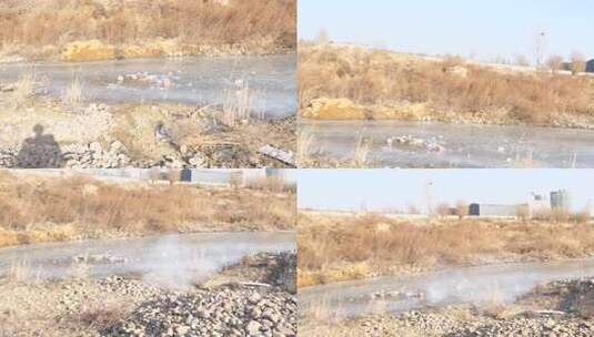 芦苇 湿地 空地 草 芦叶 水 湿地园高清在线视频素材下载