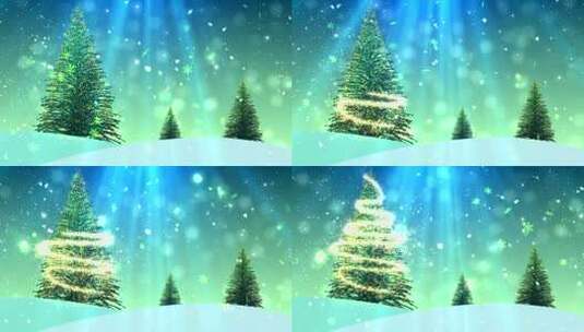 christmas-tree-title-background高清在线视频素材下载