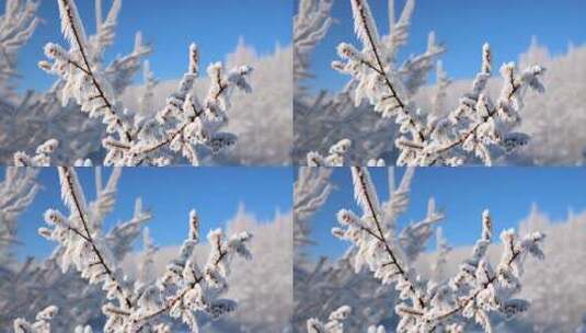 冰雪覆盖的树枝尽显冬日美景高清在线视频素材下载