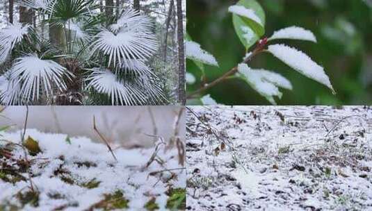 下雪雪景森林鹅毛大雪升格慢镜头高清在线视频素材下载