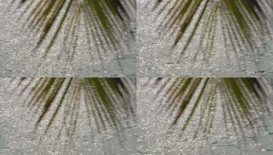 树叶虚化逆光海面高清在线视频素材下载