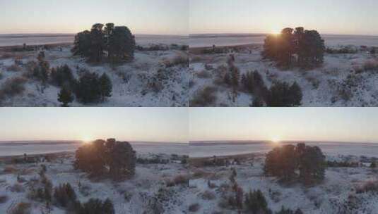呼伦贝尔草原冬季日出高清在线视频素材下载
