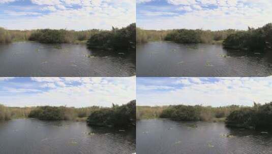 佛罗里达大沼泽地湖高清在线视频素材下载