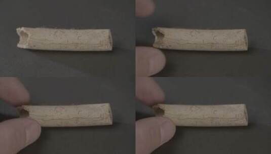 古人类牙齿骨骼化石LOG视频素材高清在线视频素材下载
