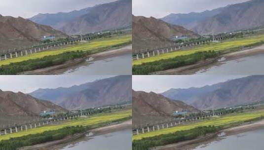 拉林铁路上雅鲁藏布江边的绿巨人高清在线视频素材下载