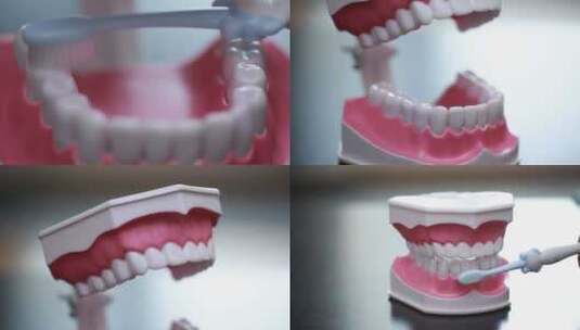 【镜头合集】牙齿模型演示刷牙方法高清在线视频素材下载