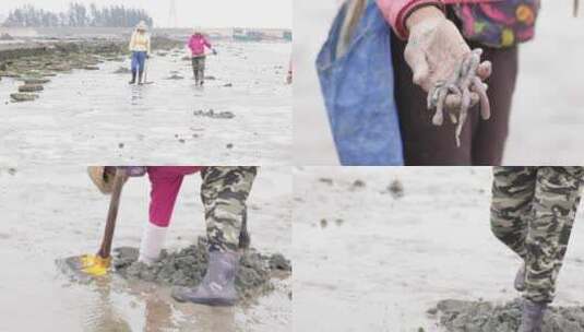 海南 赶海 挖沙虫1高清在线视频素材下载