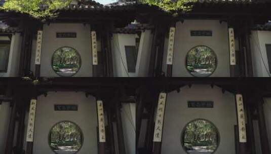 杭州西湖景区曲院风荷风景高清在线视频素材下载