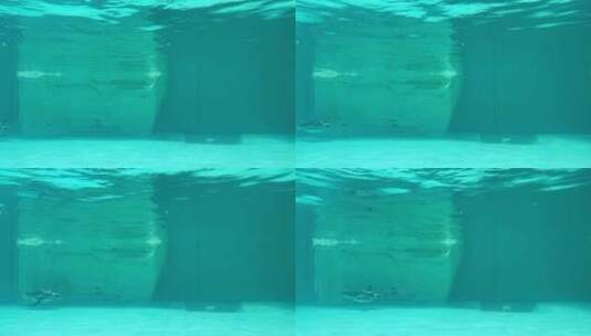 水族馆企鹅游泳慢动作高清在线视频素材下载