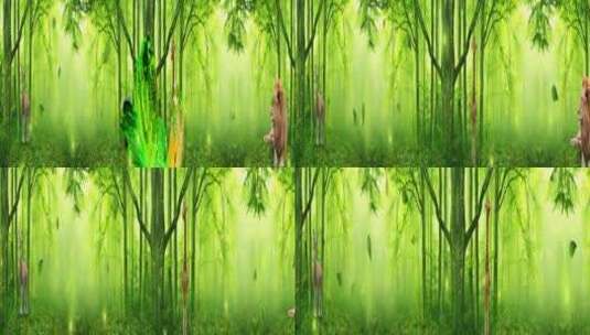 浪漫树林彩蝶 原始森林 动物园 梅花鹿 狮子高清在线视频素材下载