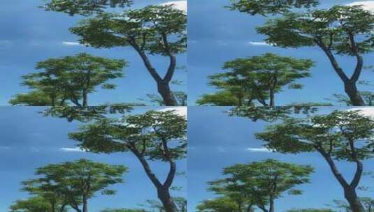 夏日高温蓝天下绿树在风中摇曳高清在线视频素材下载
