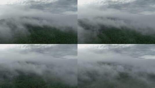 航拍高山云雾缭绕高清在线视频素材下载