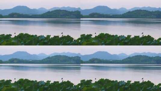 航拍傍晚杭州西湖美丽的湖光山色高清在线视频素材下载