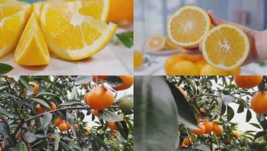 新鲜赣南脐橙高清在线视频素材下载