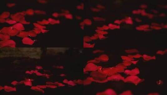 水中散落的玫瑰花瓣高清在线视频素材下载