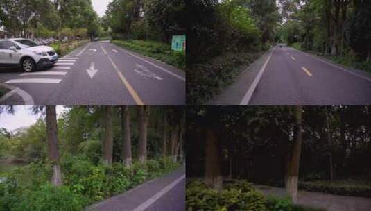 杭州国家西溪湿地公园电瓶车视角4K视频高清在线视频素材下载