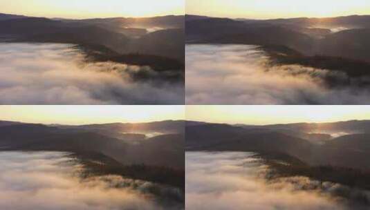 云海森林云层飘动日出太阳升起高清在线视频素材下载