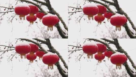 雪中的红灯笼视频素材春节年味瑞雪兆丰年高清在线视频素材下载