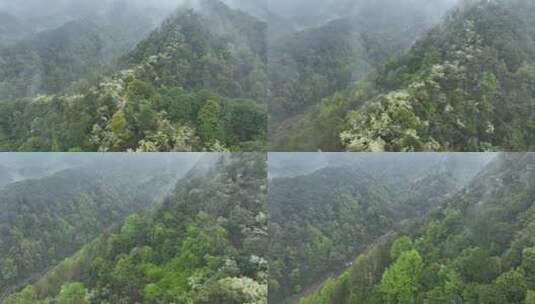 烟雨云雾缥缈的大山高清在线视频素材下载