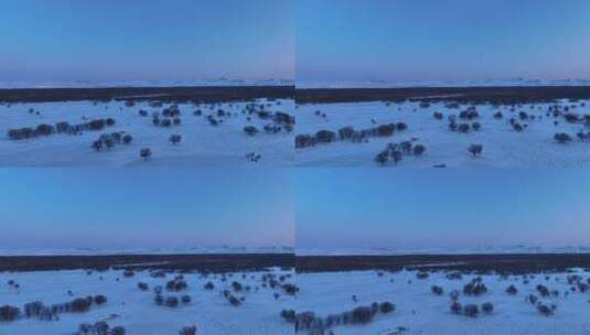 航拍黎明雪原树林雪景高清在线视频素材下载