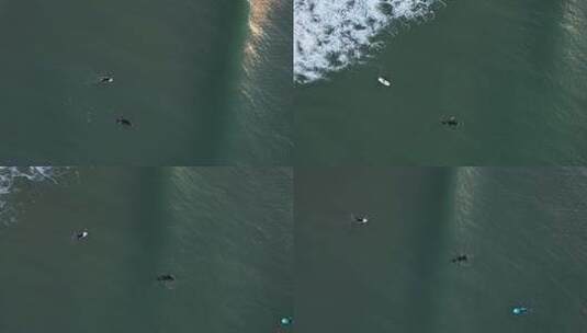冲浪者在海面上冲浪高清在线视频素材下载