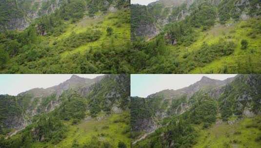 瑞士阿尔卑斯山的无人机俯瞰一座有树木的陡峭山峰高清在线视频素材下载