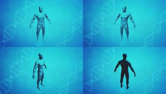 科学风格的旋转 3D 人体和 3D DNA 背景高清在线视频素材下载