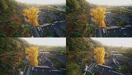 陕西西安古观音禅寺秋景高清在线视频素材下载