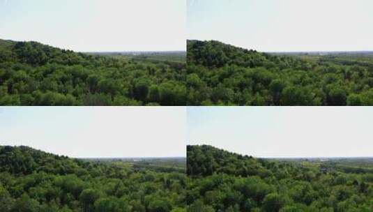 森林大自然树林氧吧森林空气环保大自然树林高清在线视频素材下载
