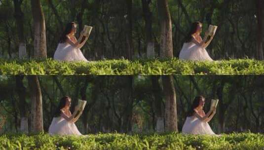 女孩坐在树下看书的全身剪影高清在线视频素材下载