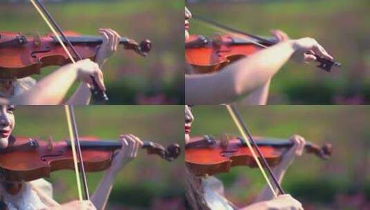 小提琴 小提琴特写高清在线视频素材下载