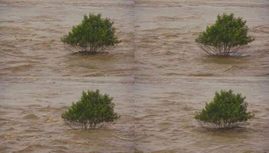 实拍长江洪水过境升格视频高清在线视频素材下载