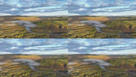 航拍金色森林蓝色河流晨雾迷漫高清在线视频素材下载