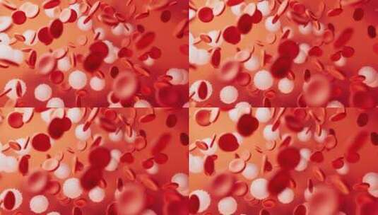 细胞 背景 红色 血液高清在线视频素材下载