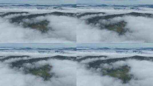 云雾森林云海高清在线视频素材下载