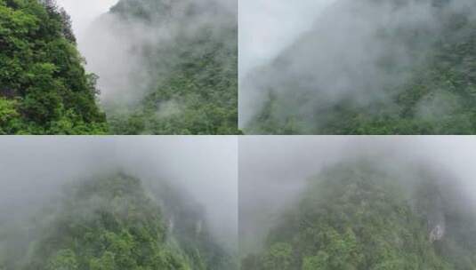 大山深处原始森林神秘云雾缭绕高清在线视频素材下载