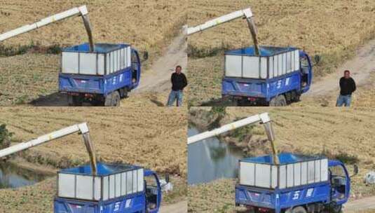 航拍农村田野收割小麦收割机运输高清在线视频素材下载