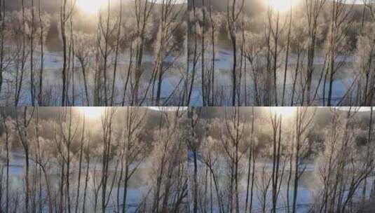 雪原冰河晶莹树挂冻雾阳光高清在线视频素材下载