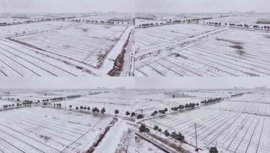 航拍农村乡镇集镇田野平原雪景高清在线视频素材下载